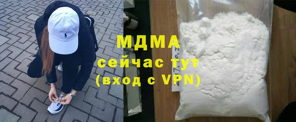 индика Осинники