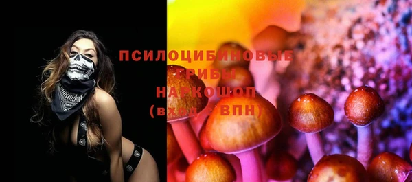 прущая мука Гусь-Хрустальный