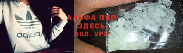 индика Осинники