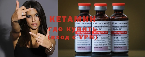 индика Осинники