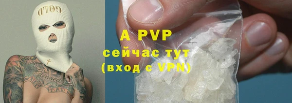 индика Осинники