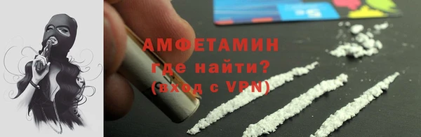 индика Осинники