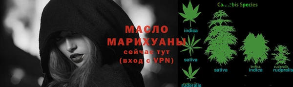 индика Осинники