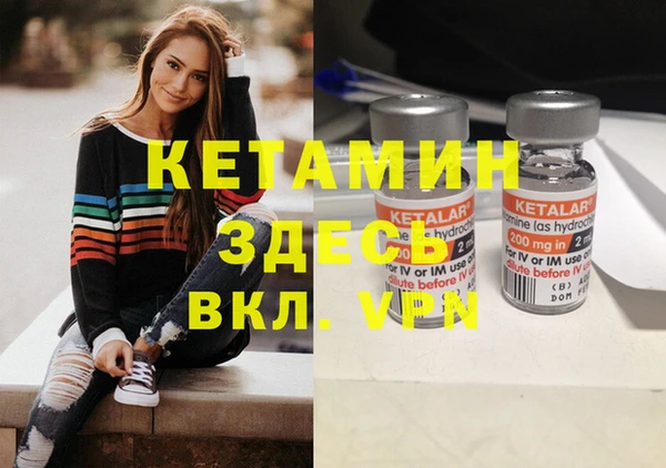 индика Осинники