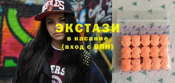 индика Осинники