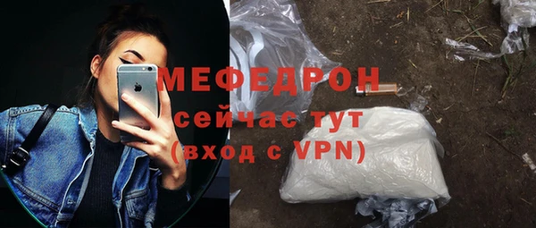 индика Осинники