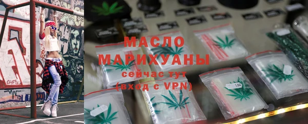 индика Осинники