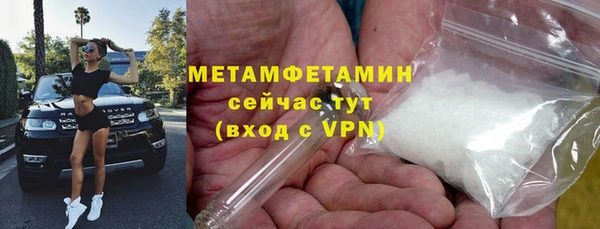 индика Осинники
