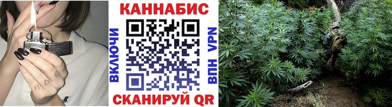 дарк нет Telegram  Пролетарск  Шишки марихуана марихуана 